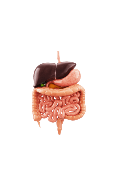 ingredient image