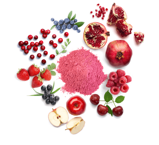 fruits ingredients