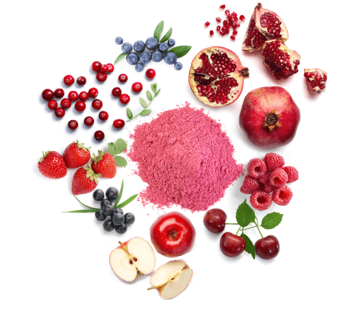 fruits ingredients